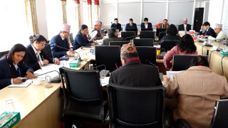 अभौतिक सांस्कृतिक सम्पदा (संरक्षण) विधेयकको नाम परिवर्तन गर्न सरकारले समय माग्यो