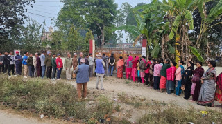 झापामा ४० प्रतिशत मत खस्यो