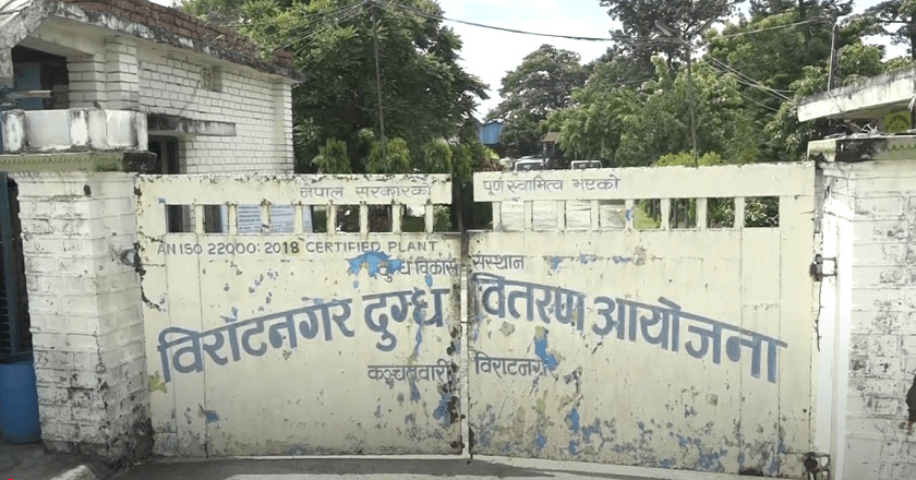 किसानलाई दूधको ११ करोड भुक्तानी गर्न बाँकी