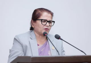 एमालेकी सांसद भण्डारी राष्ट्रिय सभाको उपाध्यक्षमा निर्विरोध निर्वाचित