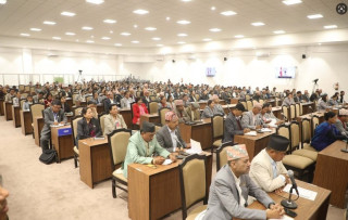 विपक्षी दलहरूले उपसभामुखमा उम्मेदवारी दिने