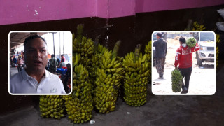 बजारमा केराको हाहाकार, मूल्य प्रतिदर्जन ३ सय ५० रुपैयाँ