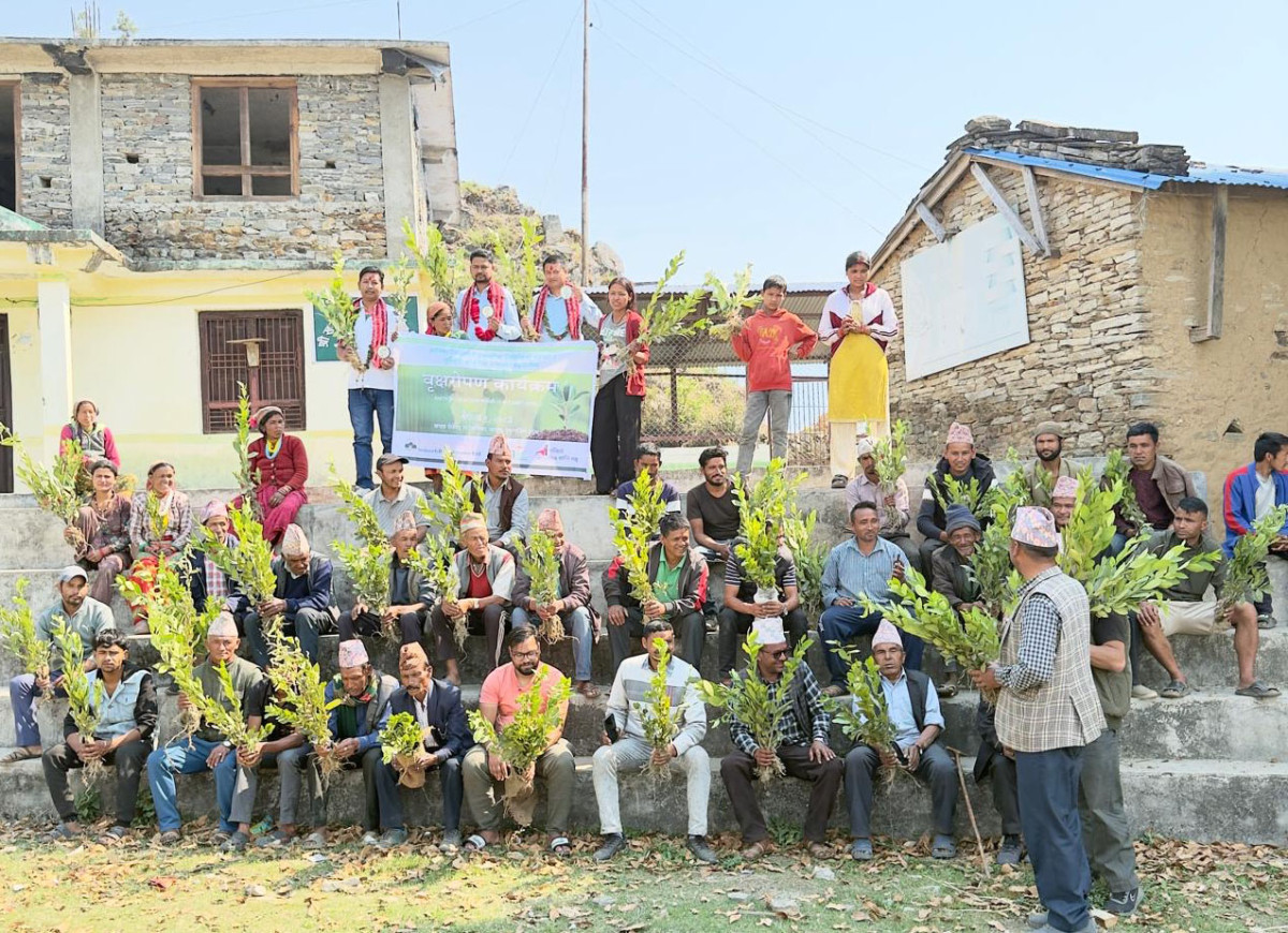 सानिमा जिआइसी इन्स्योरेन्सद्वारा बाजुरामा १००० वटा कागतीका विरुवा वितरण