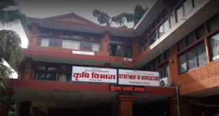 मौसमको अवस्था प्रतिकूल रहेकाले गहुँ भण्डारण गर्न किसानलाई आग्रह