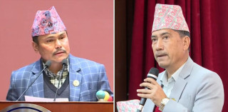 कांग्रेस सचेतकमा पदमबहादुर परियार: रोकायाको विदाई, परियारको इन्ट्री