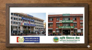 राष्ट्रिय वाणिज्य बैंक र कृषि विकास बैंकका अध्यक्ष र सञ्चालकले दिए राजीनामा