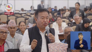 एक हप्ताभित्र सरकारले बाँदर आतंक नियन्त्रण नगरे सांसद बैठक चल्न दिँदैनौँः एमाले सांसद राई