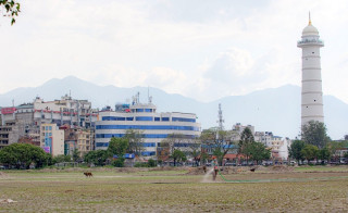 अब फेरिनेछ टुँडिखेलको रूप: उजाड मैदानमा दुबो रोप्न थालियो