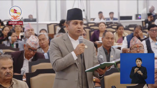 नेता सिंहमाथिको आक्रमणप्रति सांसद महरको आपत्ति
