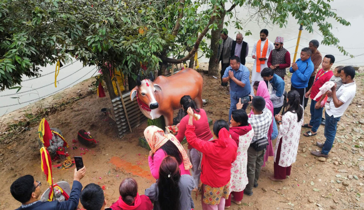 पञ्चकन्या मन्दिरमा गौ माता प्रतिमा अनावरण