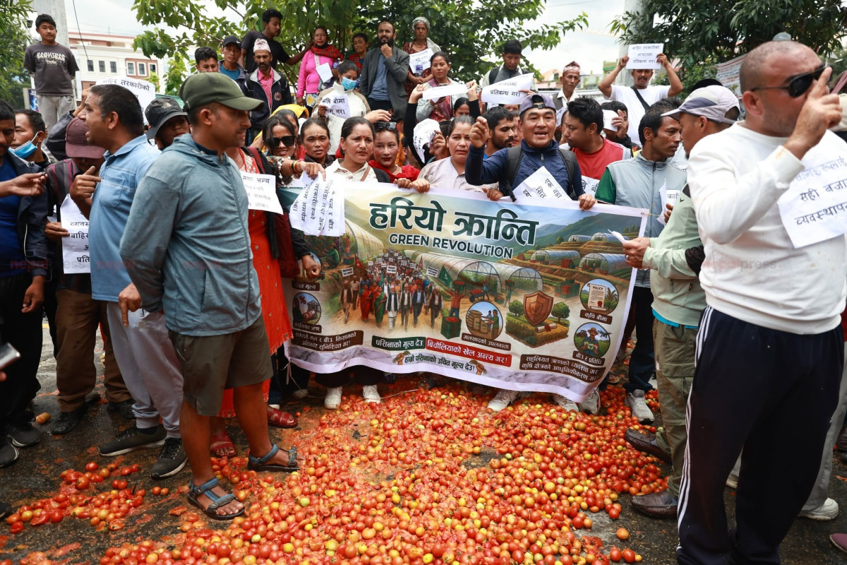 उचित मूल्य नपाएको भन्दै गोलभेँडा सडकमा फालेर किसानले पोखे आक्रोश