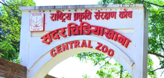 बर्डफ्लुले जावलाखेल चिडियाखानालाई तीन करोड घाटा