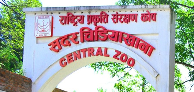 बर्डफ्लुले जावलाखेल चिडियाखानालाई तीन करोड घाटा