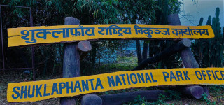 च्याउ खोज्न जंगल गएका १४ महिला आइतबारदेखि सम्पर्कविहीन
