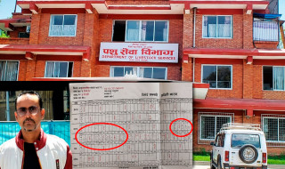 अष्ट्रेलियामा सेकुवा बेच्दै आएका उपसचिव डा. घिमिरे, बल्ल भए निलम्बित