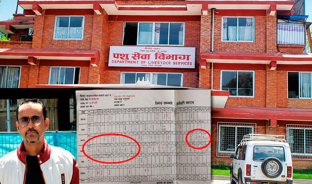 अष्ट्रेलियामा सेकुवा बेच्दै आएका उपसचिव डा. घिमिरे, बल्ल भए निलम्बित